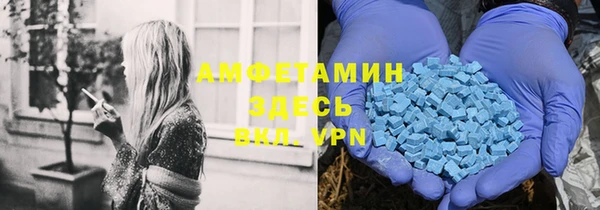 соль ск Вяземский