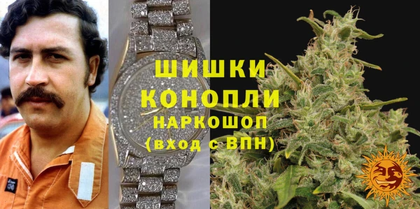 соль ск Вяземский