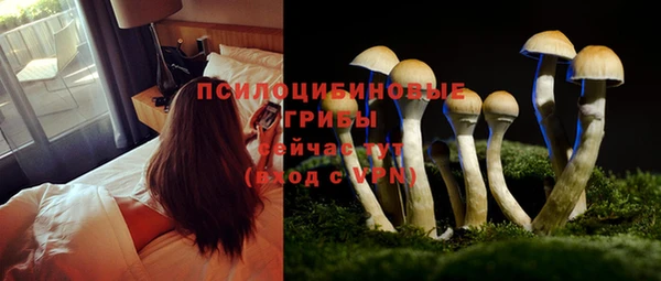 соль ск Вяземский