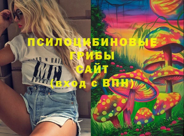 крисы Вязники