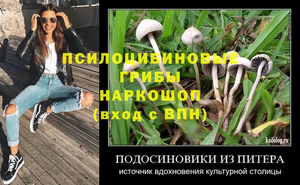 крисы Вязники