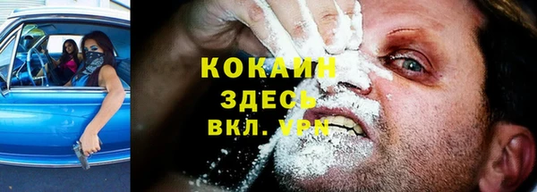 соль ск Вяземский