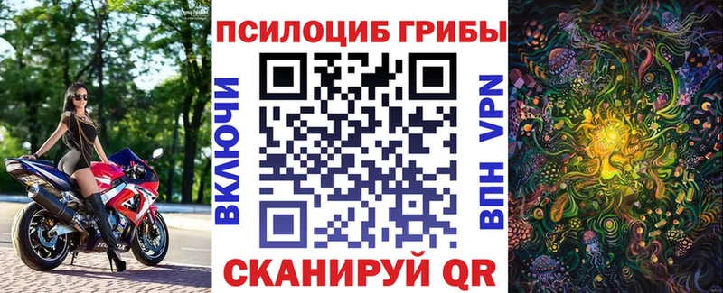 Псилоцибиновые грибы MAGIC MUSHROOMS  Купить закладки  Белая Калитва 