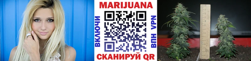 Канабис ГИДРОПОН  Купить  Белая Калитва 